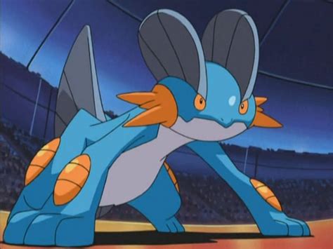 swampert moveset|best moveset for swampert.